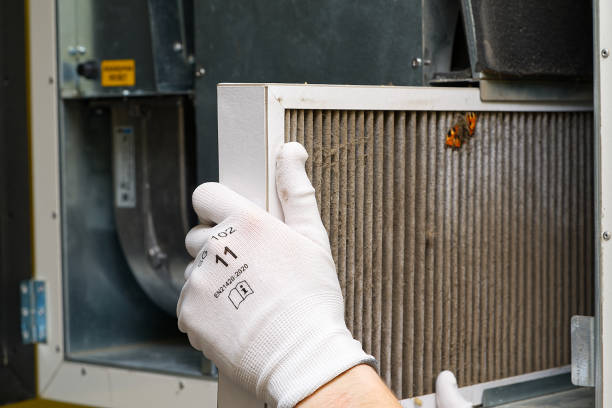 Best Duct Cleaning for Offices  in Taft, TX